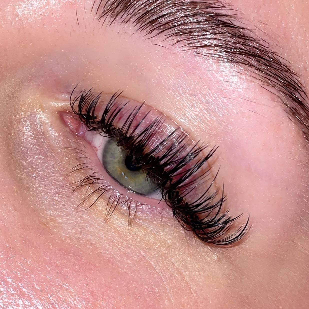 Wet Look pre made lashes - Leo Lash Range