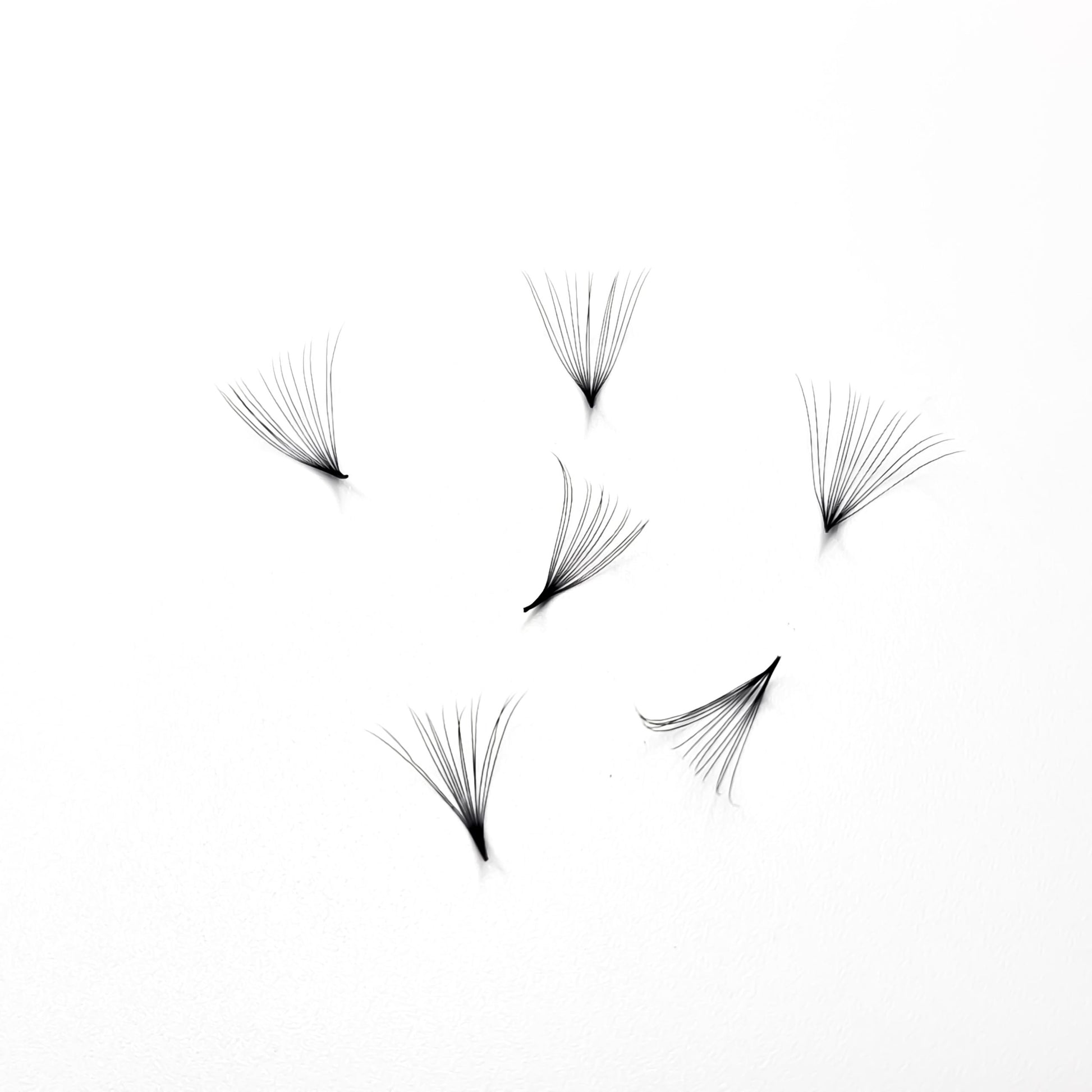 Pro Made Lashes - Leo Lash Range