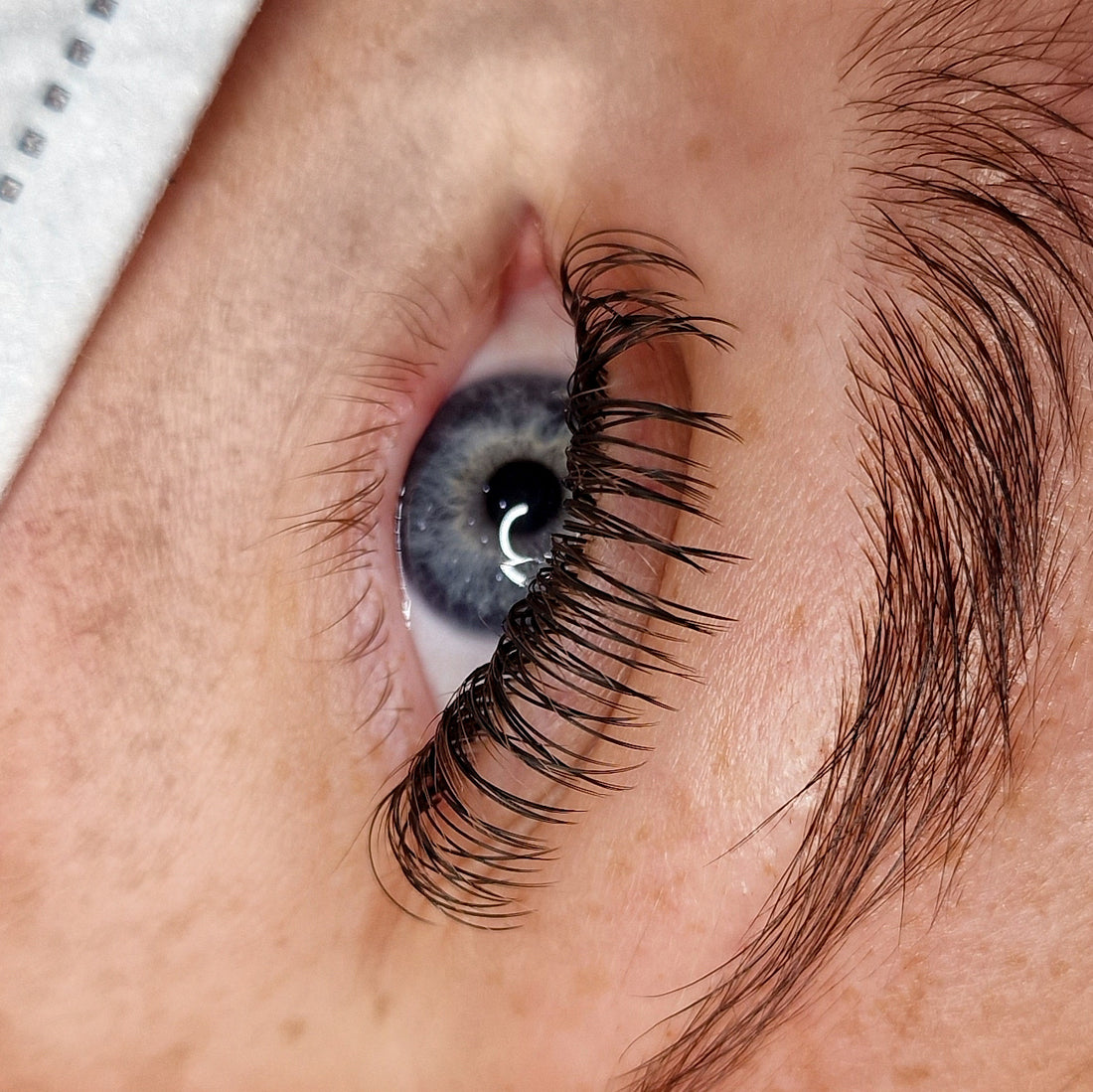 Leo Lash Range flat lash extensions in a pink tray, premium cruelty-free lash supplies