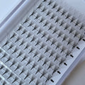 Tray of premium Leo Lash Range lash extension fans arranged in rows