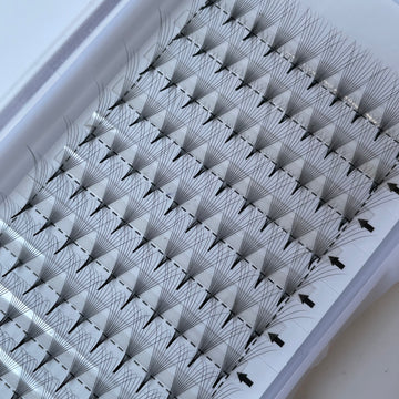 Tray of premium Leo Lash Range lash extension fans arranged in rows