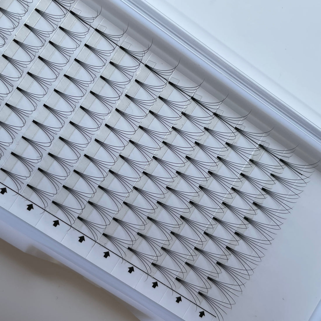 Tray of premium Leo Lash Range lash extension fans arranged in rows