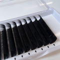 Premium black lash extensions arranged in a tray, Leo Lash Range product for lash techs