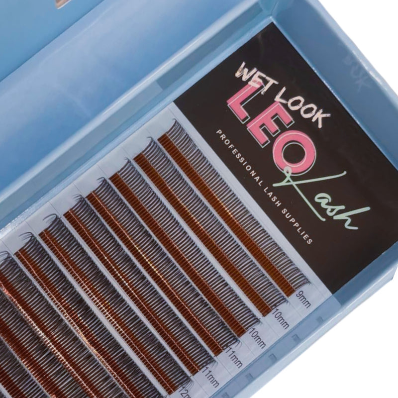 Leo Lash Range wet look lash extensions in a blue case for lash techs