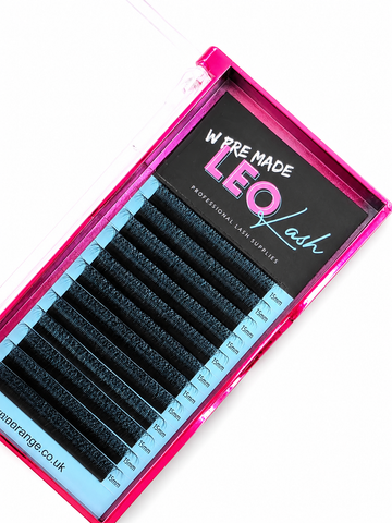 W Lashes